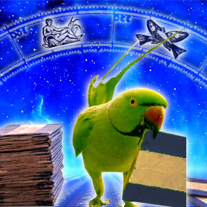 parrot-april